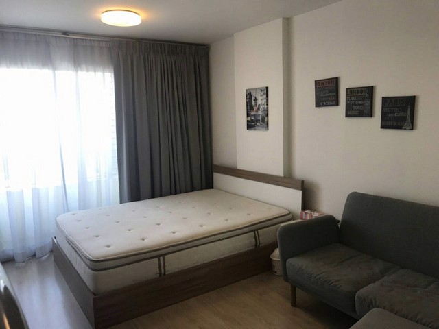 ด่วน-ให้เช่า-คอนโด-7500-เอลลิโอ-สุขุมวิท-64-ใกล้รถไฟฟ้า-bts-ปุณวิถี