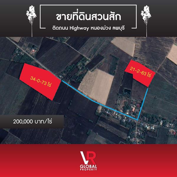 ขายที่ดินสวนสัก-ติดถนน-highway-หนองม่วง-ลพบุรี