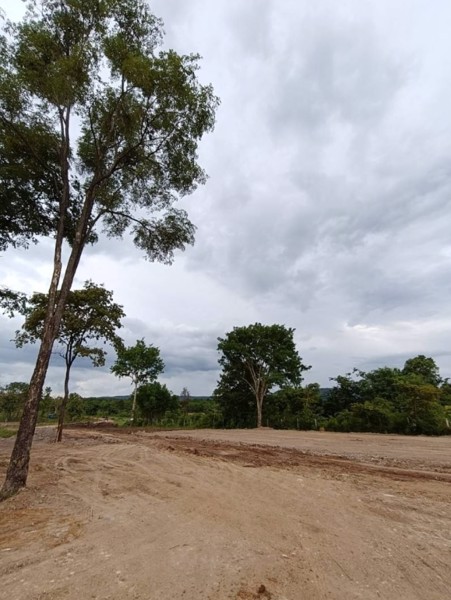 ขายที่ดิน21ไร่-ยกแปลง25ล้านบาท-ทางบ้านนาลาดควายไปดอนยาง