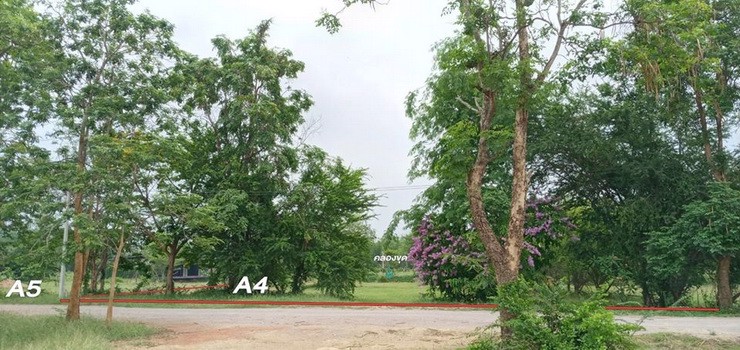 ที่ดินแบ่งแปลงย่อยขาย-ตำบลรางบัว-อำเภอจอมบึง-จราชบุรี