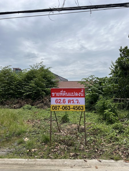 ✨ขายถูก 🔥เจ้าของขายเอง ที่ดิน 63 ตร.วา. ซอยรัตนาธิเบศร์ 8 แคราย ติวานนท์ ต่อรองได้