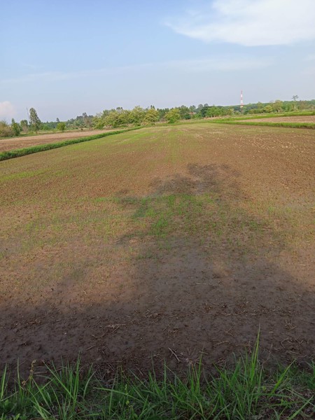 เจ้าของขายเอง-ขายที่ดิน-3-ไร่-36-ตารางวา-บ้านนาบ่อ-ตปลาโหล-อวาริชภูมิ-จสกลนคร