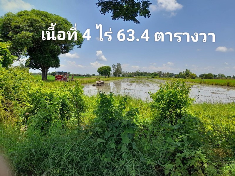 ที่ดินสวยทำเลทองขายยกแปลงเพียง-29-ล้านบาท