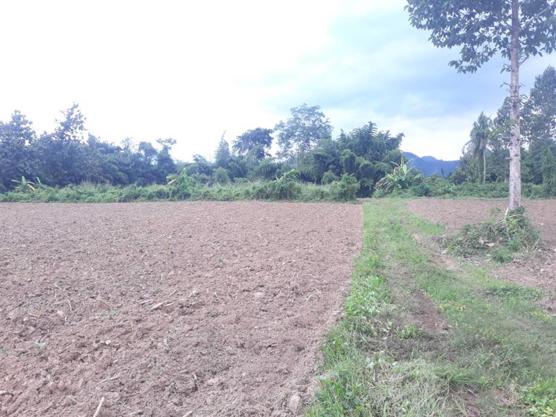 ขายที่ดินสวยติดริมแม่น้ำแควน้อย-กาญจนบุรี-เหมาะสำหรับทำรีสอร์ท-บ้านพักตากอากาศ-ร้านอาหาร