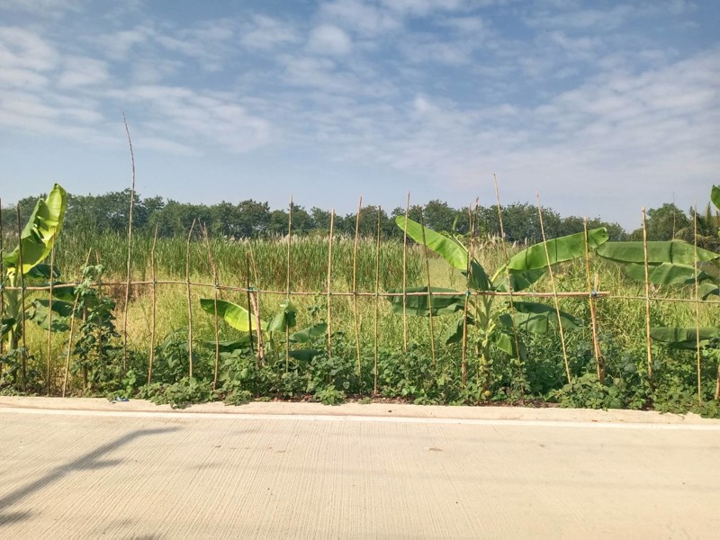 ขายด่วน-ที่ดิน-1-ไร่-ติดถนนรังสิตนครนายก-คลอง-8