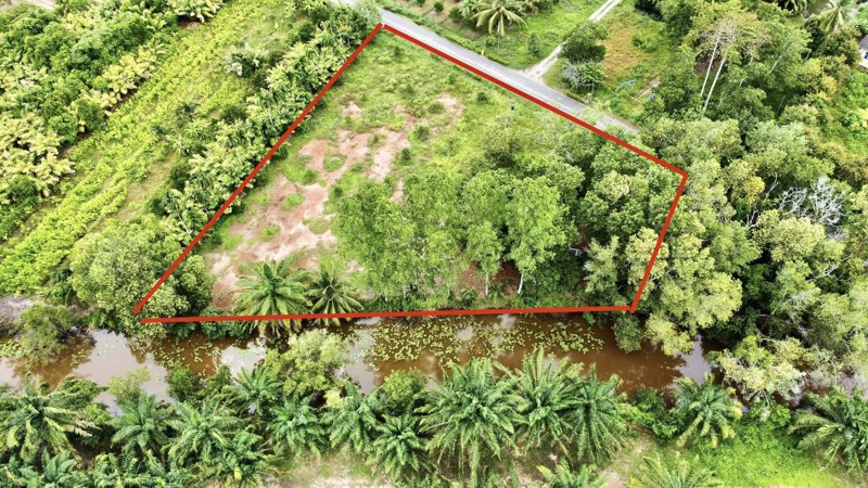 ขายด่วน-ที่ดินจันทบุรี-ที่ดินแปลงสวยๆ-ติดถนนดำ