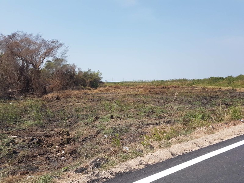 ขายที่ดิน-25-ไร่-ซวัดปากบ่อ-พระราม2-กม36-ที่ดินสวยเหมาะสร้างโรงงานหรือโครงการหมู่บ้าน