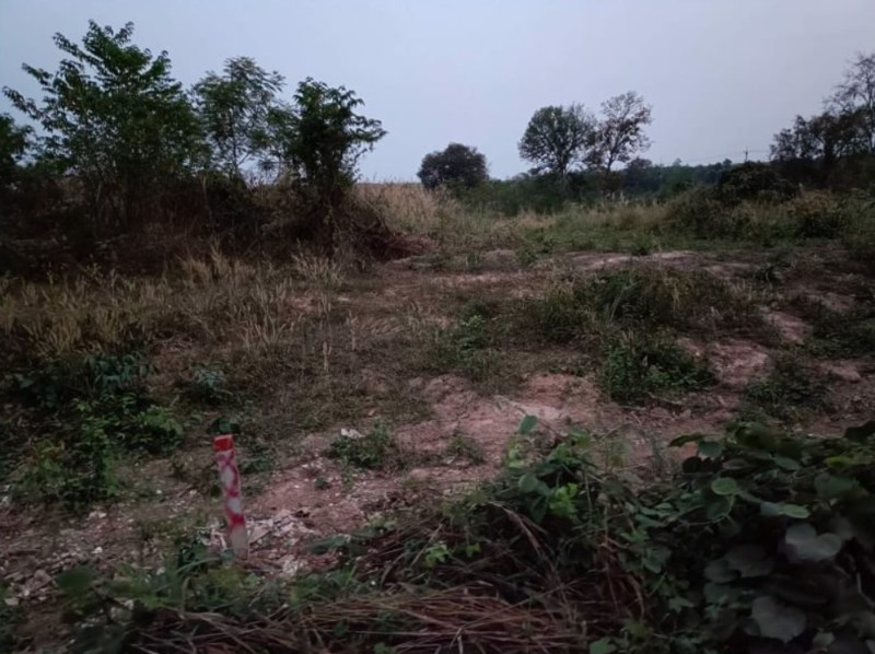 ขายที่ดินทำเลสวย-เนื้อที่-3-ไร่-3-งาน-31-ตรว