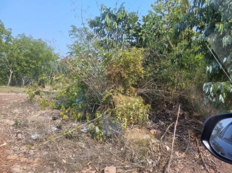 ขายที่ดินทำโคกหนองนา-10ไร่-ใกล้ชุมชนบ้านนาจาน