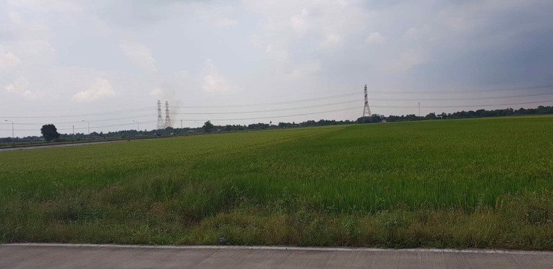 ขายที่ดินลำลูกกาคลอง-9-เนื้อที่-22ไร่-ติดถนนใกล้วัดอนใหญ่