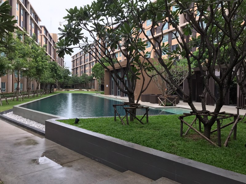 ให้เช่า-ดีคอนโด-แคมปัส-รังสิต-พร้อมเฟอร์-ใกล้มหาลัย