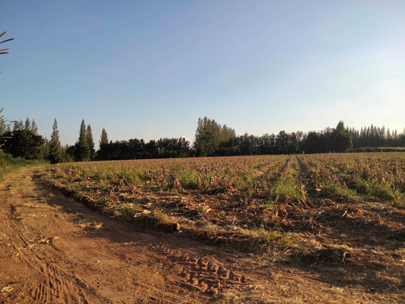 สวย-ถูก-ดี-ที่ดิน-ภบท5-จำนวน-15-ไร่-ขายราคาถูก