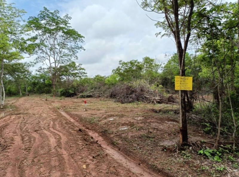 ขายที่ดิน100-ตรว-อเมือง-จหนองบัวลำภู