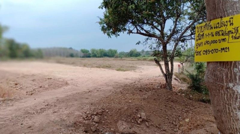 ขายที่ดินจัดสรร-1ไร่-ราคา290000บาท-ผ่อนวัน100บาท-