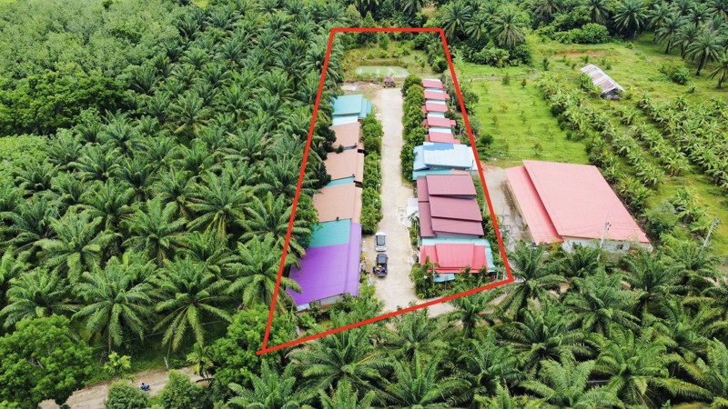 ขายกิจการ รีสอร์ท+บ้าน ท่าแซะ ชุมพร