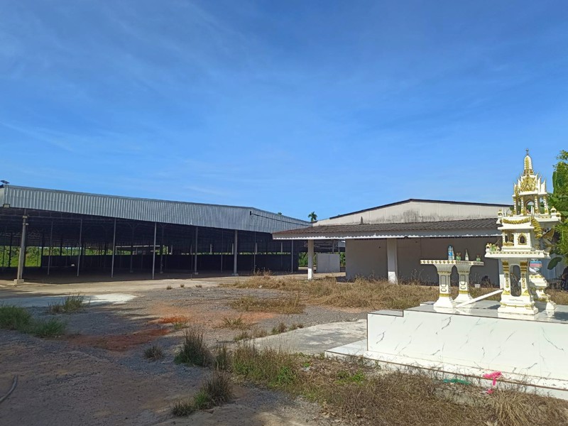 ให้เช่าโกดัง-โรงงาน-ในจังหวัดสุราษฎร์ธานี-บนเนื้อที่-20-ไร่-มีโฉนด-ใกล้-อบตศรีวิชัย