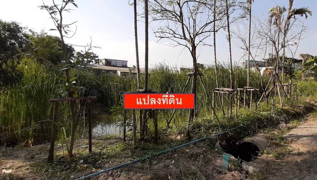 ขายที่ดิน-หลักสี่-ใกล้สนามบินดอนเมือง-พื้นที่-212-ตรว-เหมาะสำหรับออฟฟิศ