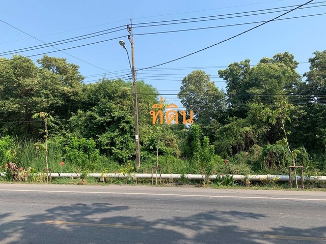 ขายที่ดิน-หนองจอก-21-3-35-ไร่-รูปสี่เหลี่ยมผืนผ้า-ผังสีเขียว-ใกล้ตลาดเก่า100ปีคลอง12