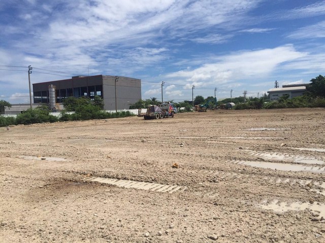 ที่ดิน-บางปู-4-ไร่ๆ-ที่ถมแล้ว-เหมาะสำหรับสร้างโรงงาน-โกดัง-ห่างจาก-ถสุขุมวิท-500-เมตร