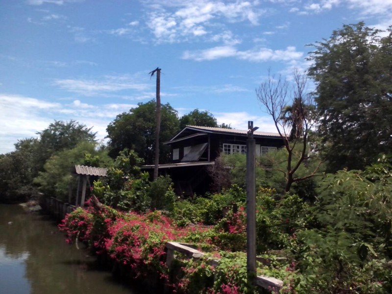 ขายที่ดิน-บางหัวเสือ-พระประแดง-ติดคลองบางฝ้าย-ซอยสำโรงใต้13