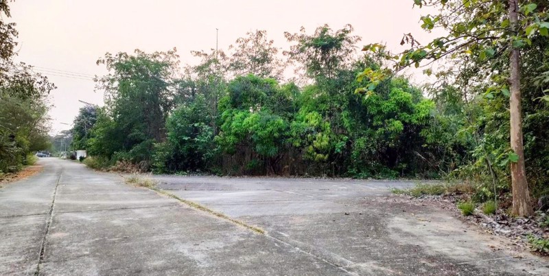 ขายที่ดิน-255-ตรว-ในหมู่บ้านสวนเกษตรโชคทวี-ราคาถูก-เจ้าของขายเอง