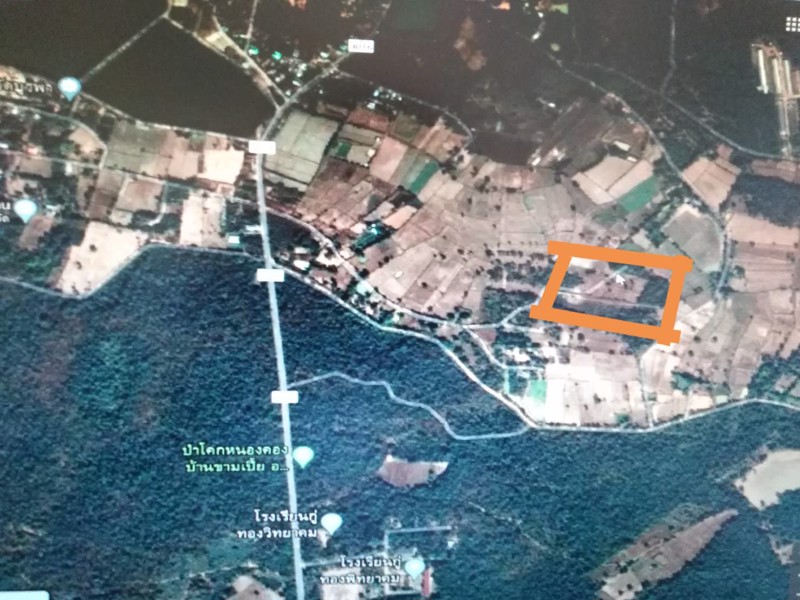 ขายที่ดิน-12-ไร่-เชียงยืน