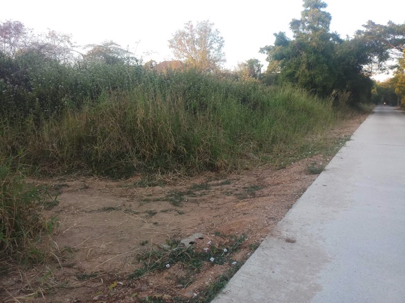 ขายที่ดินแปลงมุม-ใกล้ทางเลี่ยงเมือง-โนนตุ่น-134-ตารางวา