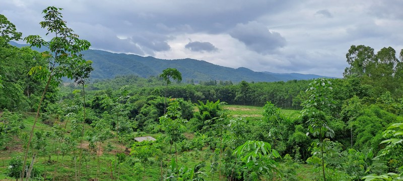 ขายที่ดิน-โฉนดครุฑแดง-พร้อมโอน-ที่สวยมากๆ-เนื้อที่รวม-3ไร่-2งาน-26ตรว