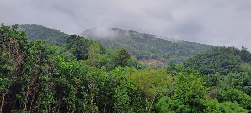 ขายที่ดิน-โฉนดครุฑแดง-วิวภูเขา-เนื้อที่-3ไร่-3งาน-35ตรว