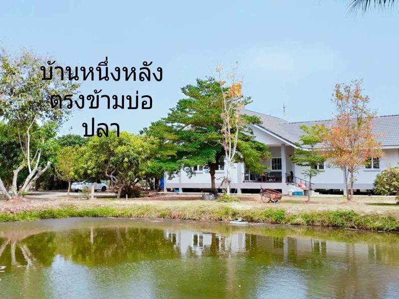 ขายที่ดินแปลงสวย-พร้อมบ้านและโฮมสเตย์-ที่-อแม่ริมเชียงใหม่ใกล้-สวนดอกไม้-ไอเลิฟฟลาวเวอร์