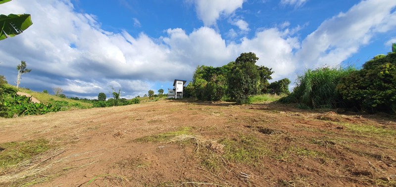 ขายที่ดินราคาถูก-โฉนดครุฑแดง-อเขาค้อ-เนื้อที่-3-ไร่-32-ตรวา-แบ่งขายได้-แถมบ้านฟรีมูลค่ากว่า-2-ล้าน