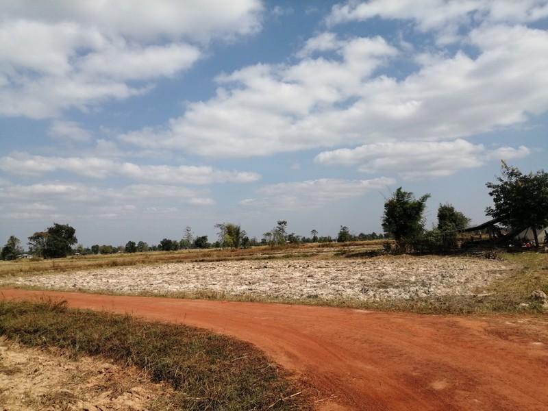 ขายที่ดิน-27-ไร่-2-งาน-53-ตรว-เหมาะกับการเพาะปลูก-ตนางาม-อเรณูนคร-จนครพนม