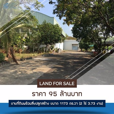 ขายที่ดินพร้อมสิ่งปลูกสร้างโซนราชพฤกษ์-ขนาด-1173-ตรวา-ราชพฤกษ์-2-ไร่-3-งาน-73-ตารางวา-