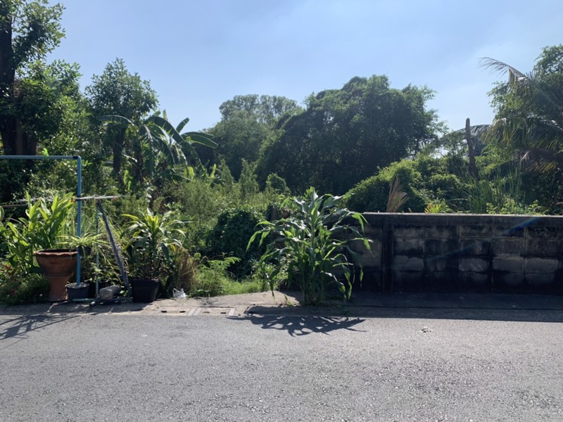 ขายที่ดินในซอยเฉลิมพระเกียรติ8