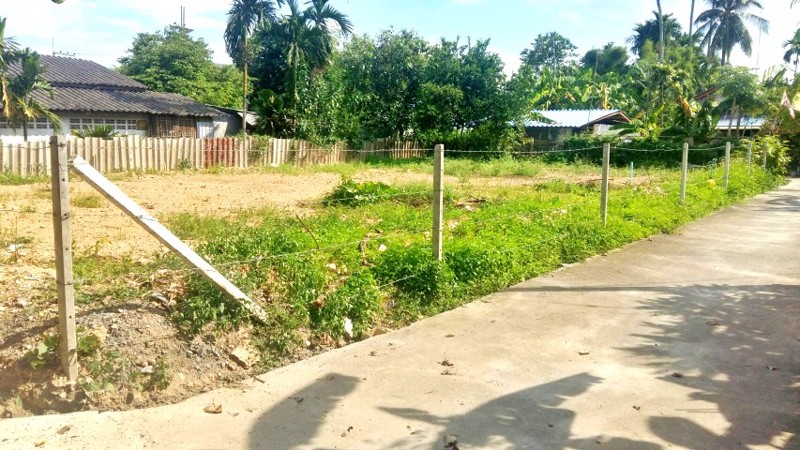 ขายที่ดิน-ถมแล้ว-110-ตรว-หน้ากว้าง-ติดถนน-2-ด้าน-น้ำไฟพร้อม-เหมาะสร้างบ้าน-อสันทราย-จเชียงใหม่