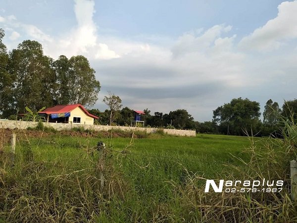 62092478-ขายที่ดินแปลงสวย-ขนาด-248-ตรว-อำเภอสูงเนิน-