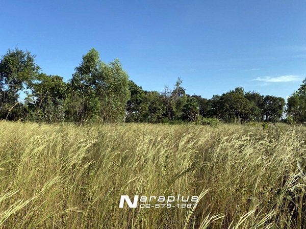 62082098-ขายที่ดินแปลงสวย-ขนาด-1-ไร่-98-ตรว-วารินชำราบ-อุบลราชธานี