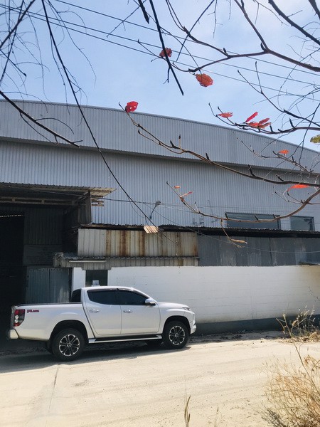 ให้เช่าโรงงานให้เช่าโกดังอยู่ถนนเทพารักษ์-กม-11-ตำบลบางพลีใหญ่อำเภอบางพลีจังหวัดสมุทรปราการ