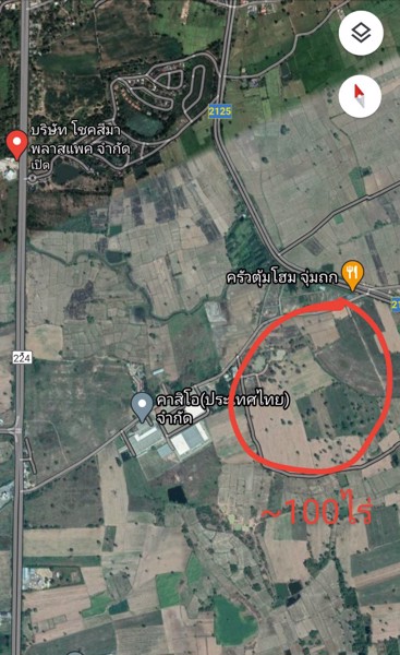 ขายที่ดิน-มีทั้งหมด3แปลงแปลงที่1เนื้อที่100-ไร่-อยู่ที่-ถนน-ราชสีมา-โชคชัย-อโชคชัย
