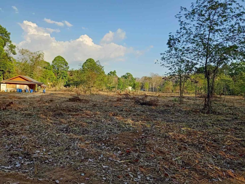 ขายที่ดินสวย-มีอนาคต-ท่าโสม-จตราด-