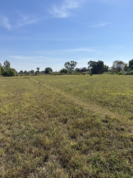 ขายที่ดินสวย-เนื้อที่-14-ไร่-ติดถนนลาดยาง-ไฟฟ้าผ่าน