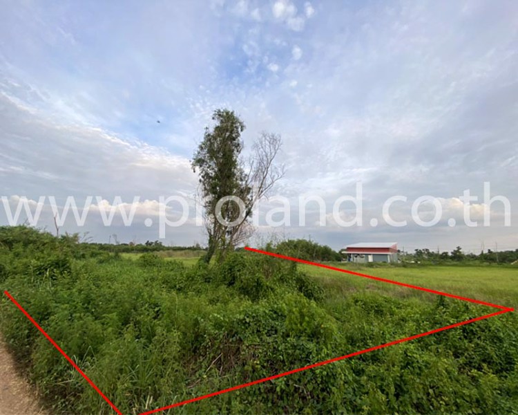 ขายที่ดิน-1-ไร่-ซบงกช-6-คลองหลวง-แหล่งชุมชน-ใกล้แม๊คโคร